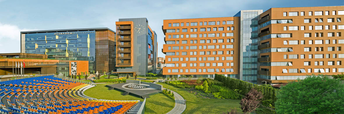 Acıbadem University