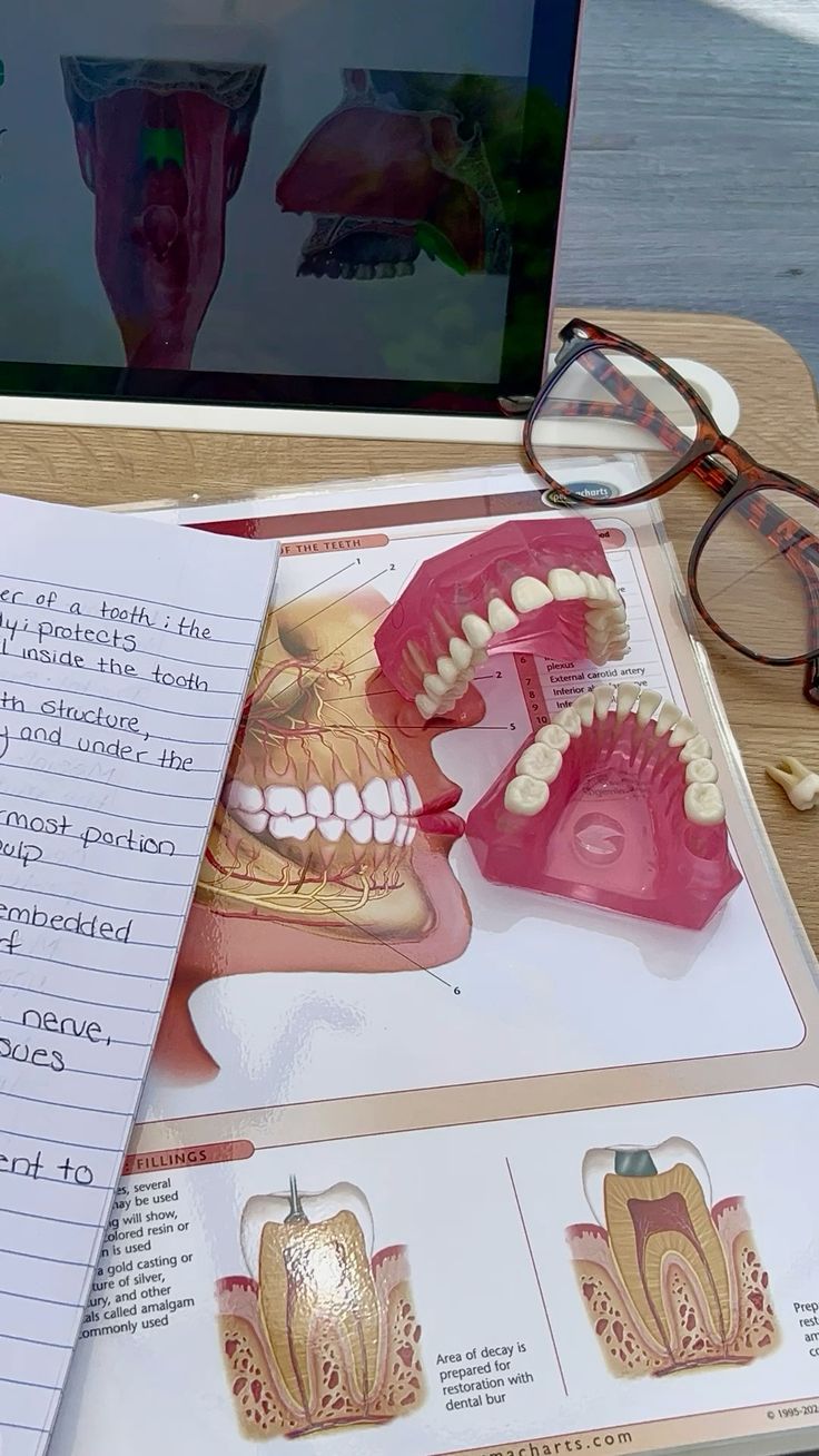 تحصیل در رشته دندانپزشکی در دانشگاه های ترکیه